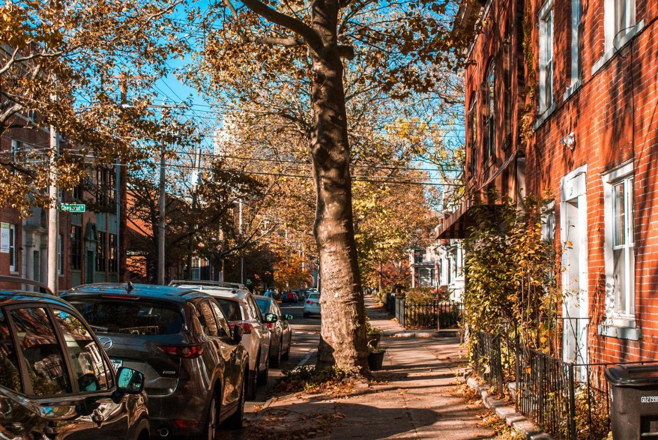 Gorgeous 1Br Wooster Sq. Apt. - Wshr/Dryr, Parking New Haven Exterior foto